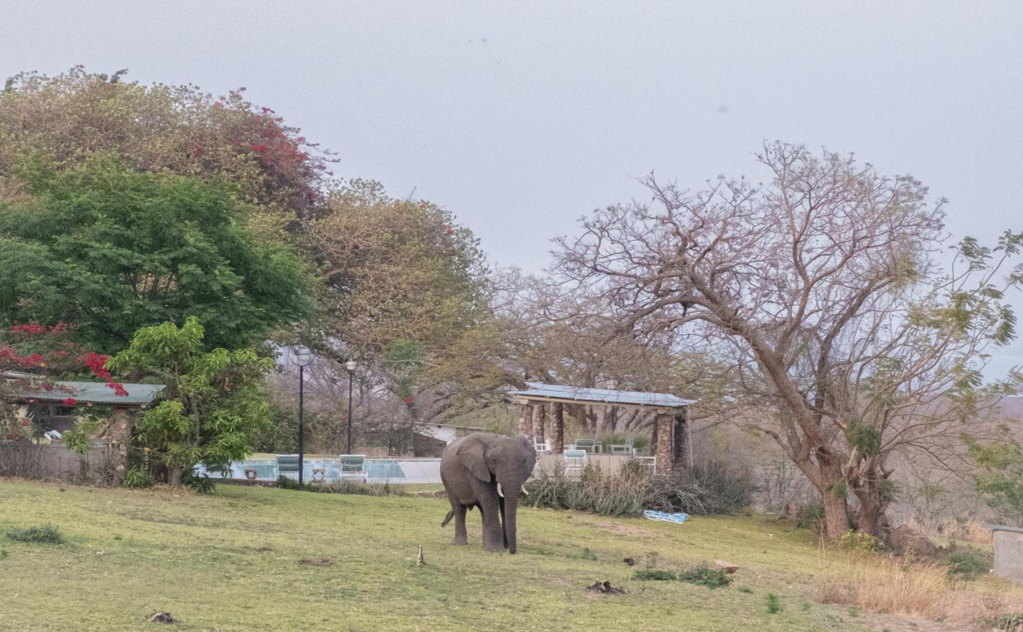 Musungwa Safari Lodge Shanjungu Eksteriør billede
